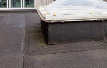 disadvantages of Newby East flat roofs